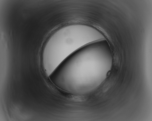 X0000098050446200803280733