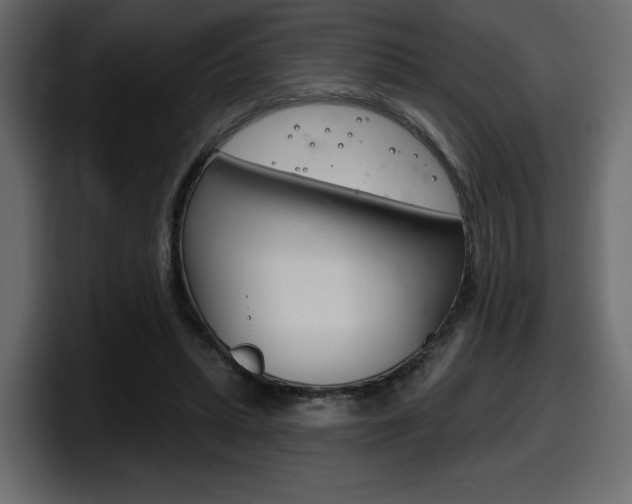 X0000098050447200803280733