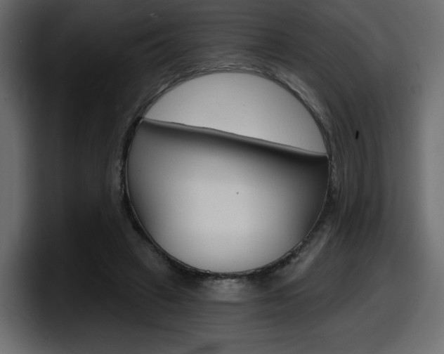 X0000098050449200803280733