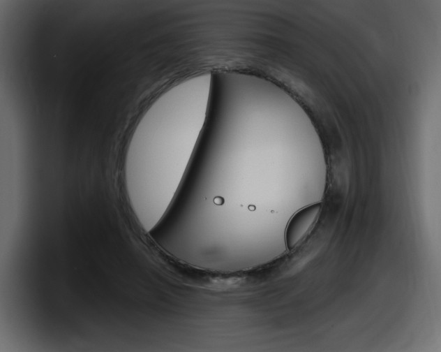 X0000098050450200803280733