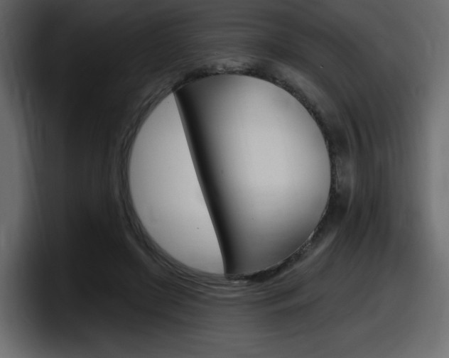 X0000098050451200803280733