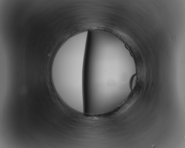X0000098050453200803280733