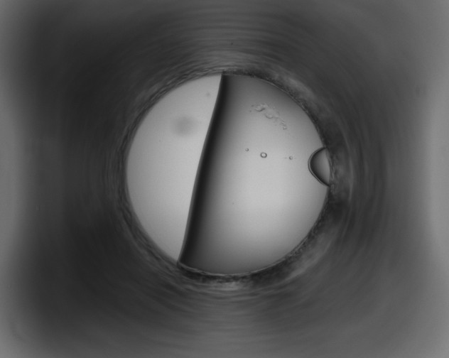 X0000098050454200803280733