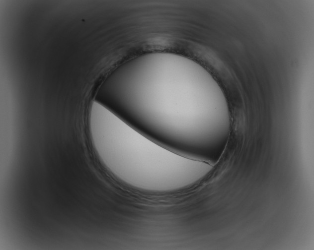 X0000098050455200803280734