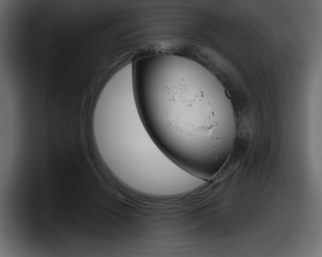 X0000098050456200803280734