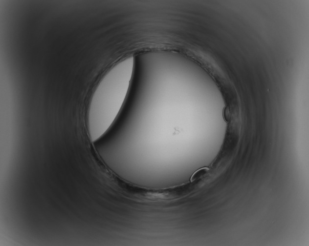 X0000098050457200803280734