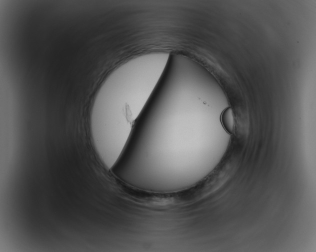 X0000098050458200803280734