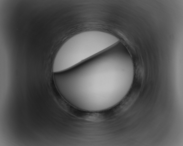 X0000098050459200803280734