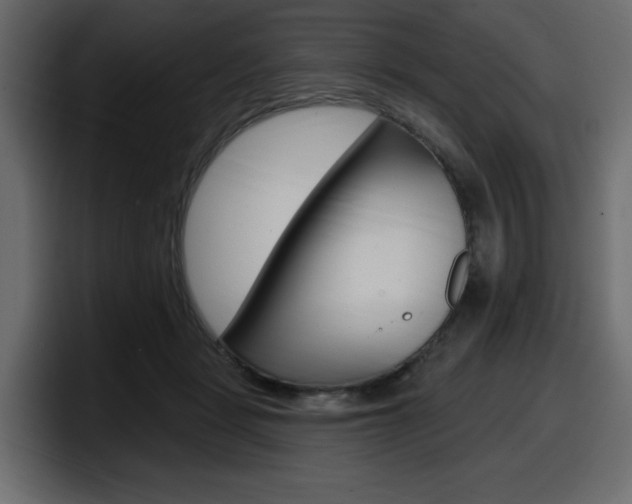 X0000098050461200803280734