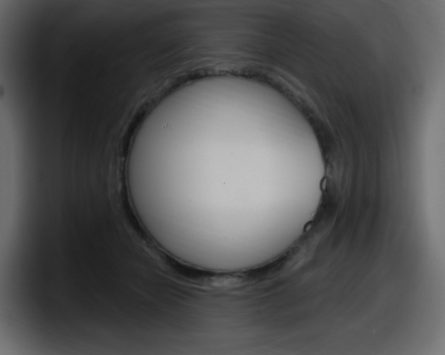 X0000098050462200803280734