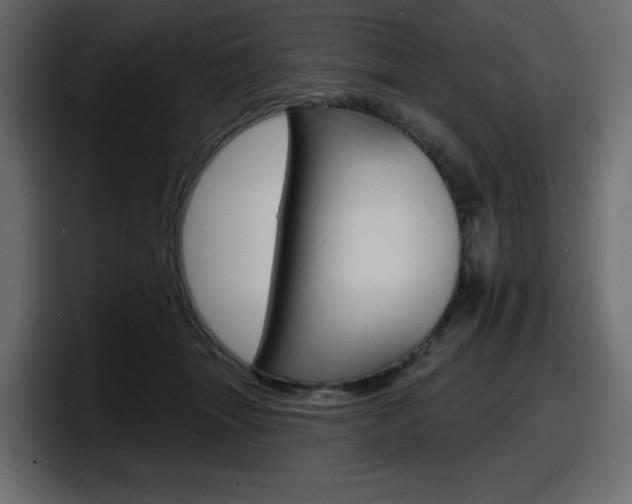 X0000098050463200803280734