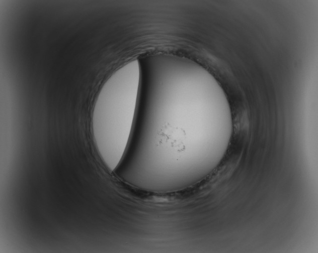 X0000098050464200803280734