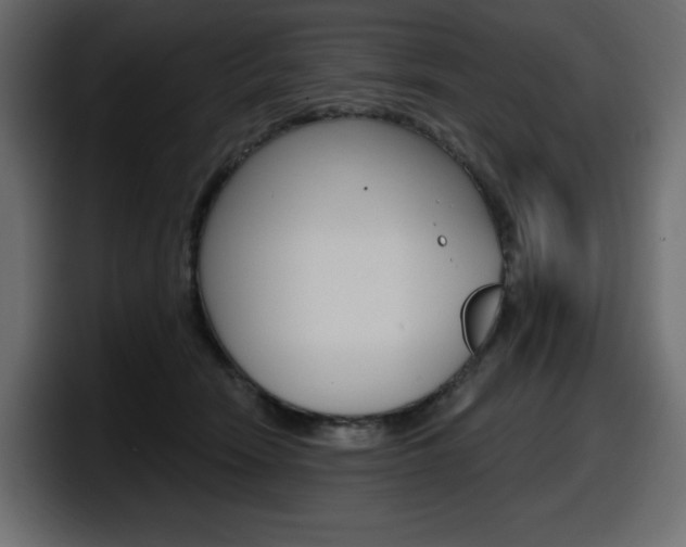 X0000098050466200803280734