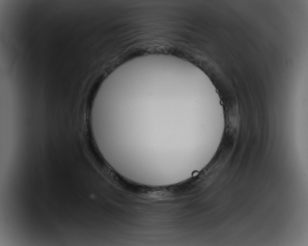 X0000098050468200803280734