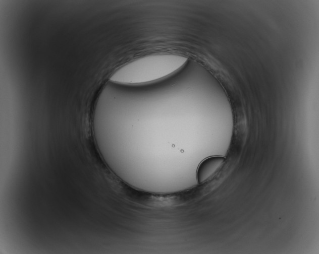 X0000098050469200803280734