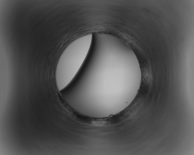 X0000098050470200803280734