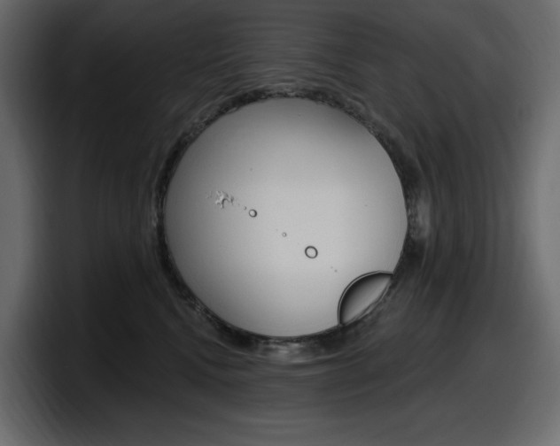 X0000098050472200803280734