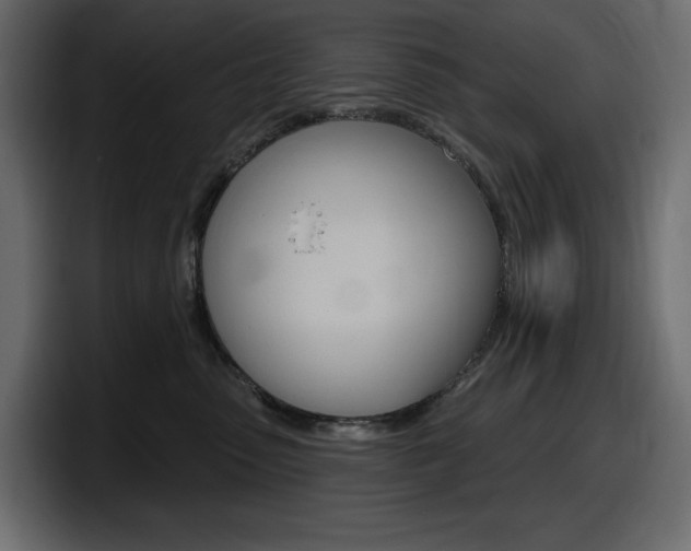 X0000098050475200803280734