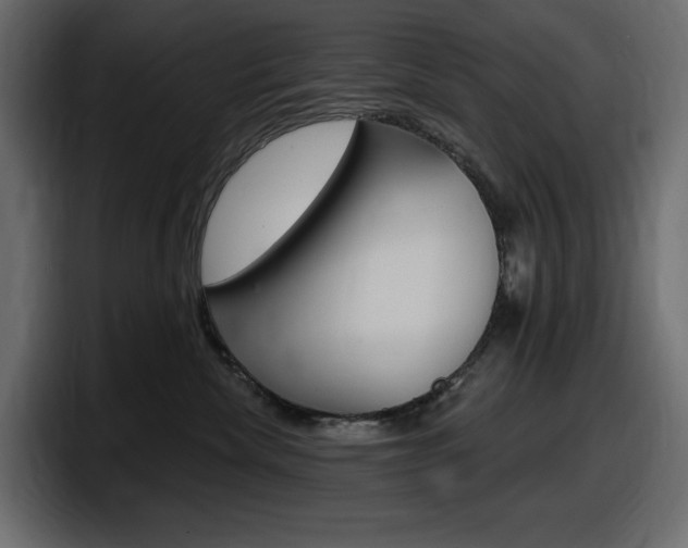 X0000098050476200803280734