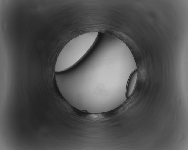 X0000098050477200803280734