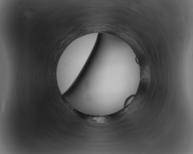 X0000098050478200803280734