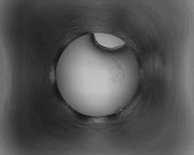 X0000098050479200803280734