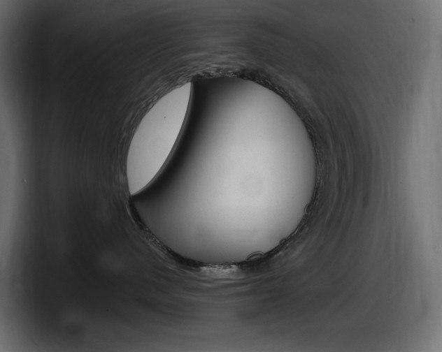 X0000098050480200803280734