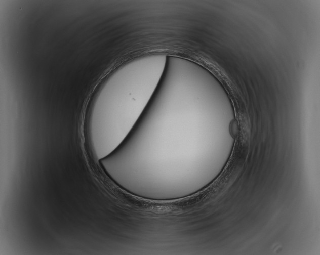 X0000098050482200803280733