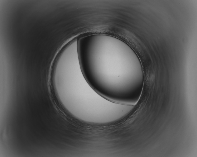 X0000098050484200803280733