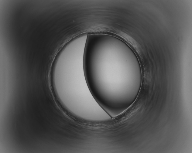 X0000098050485200803280733