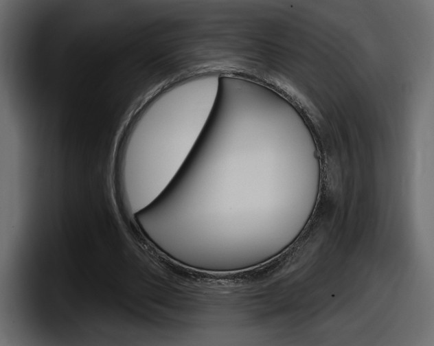 X0000098050486200803280733