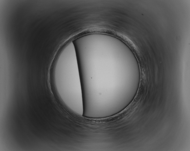X0000098050487200803280733