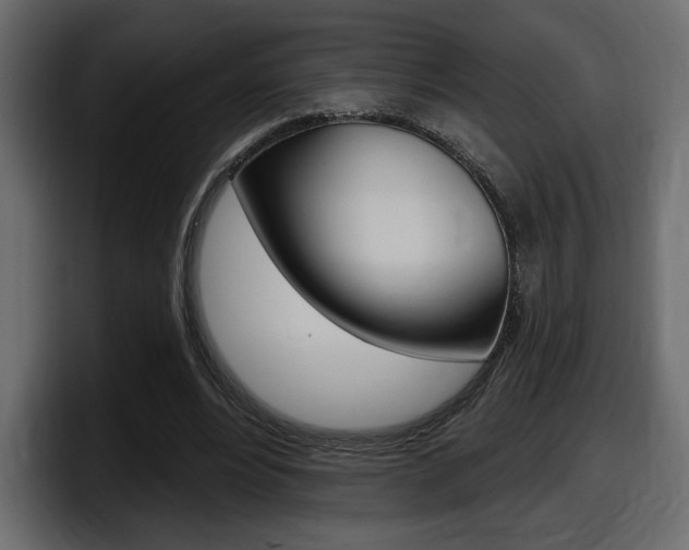 X0000098050488200803280733
