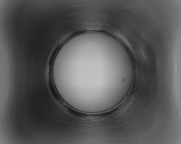 X0000098050490200803280733