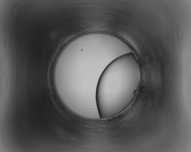 X0000098050491200803280733