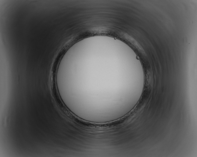 X0000098050494200803280733