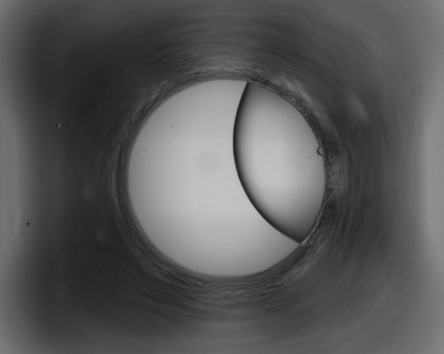 X0000098050495200803280733