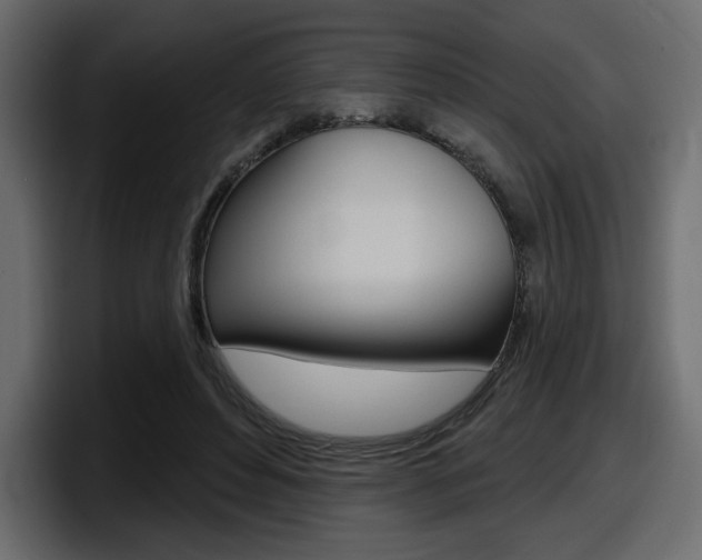 X0000098050496200803280733