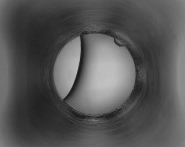 X0000098050498200803280733