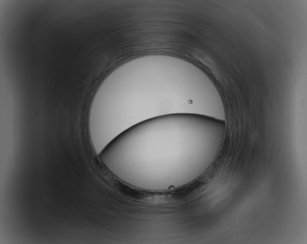 X0000098050499200803280733