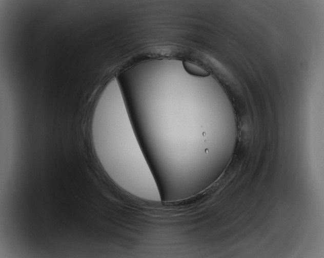 X0000098050500200803280733