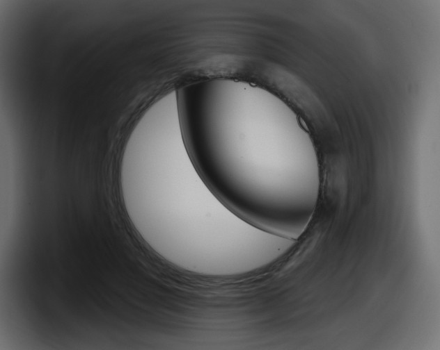 X0000098050501200803280733