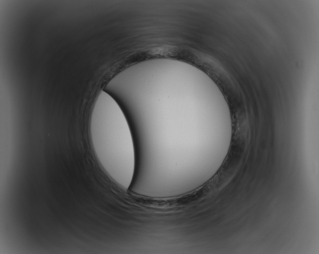 X0000098050502200803280733