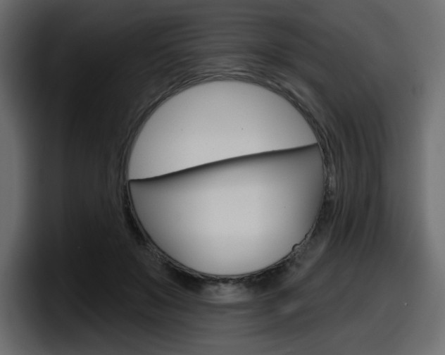 X0000098050503200803280733