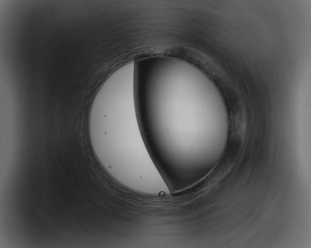 X0000098050505200803280733