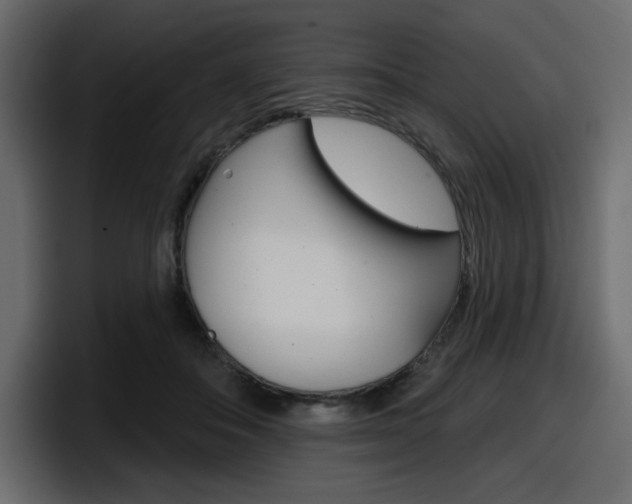 X0000098050506200803280733