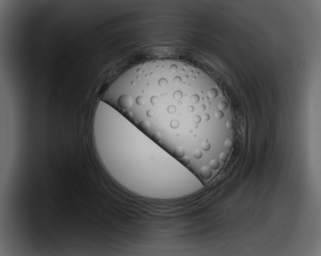 X0000098050507200803280733