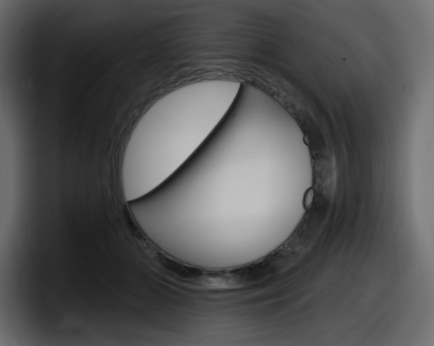 X0000098050510200803280733