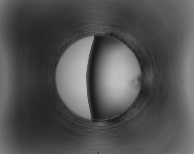 X0000098050513200803280733