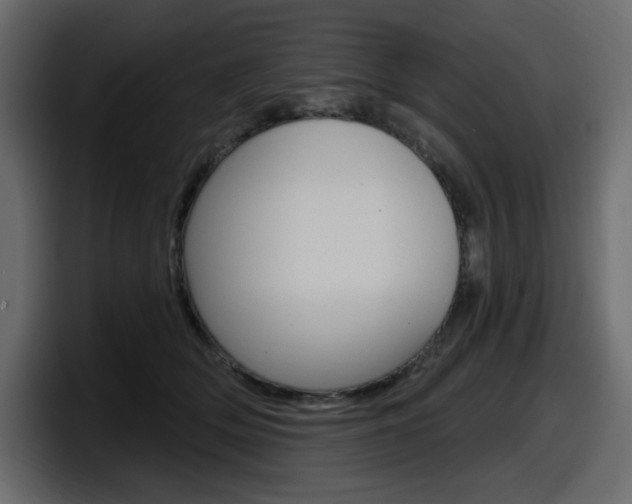 X0000098050514200803280733